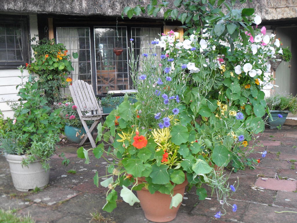 Church Hall Farm Bed And Breakfast Broxted Exterior photo